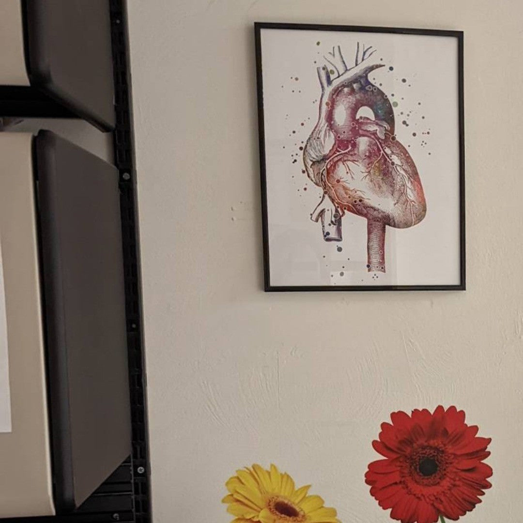 Anatomical heart watercolor print for doctor office decor