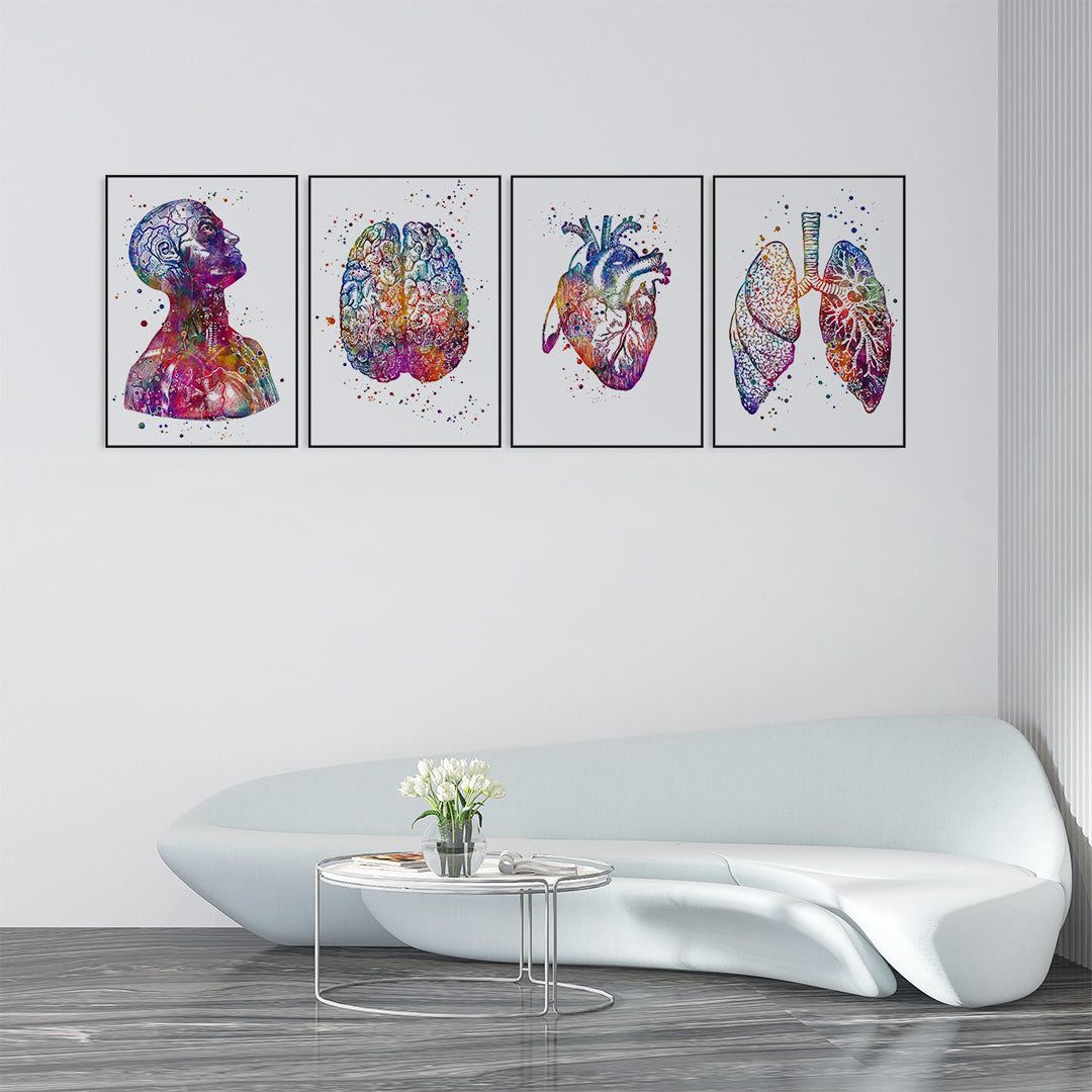 Watercolor anatomy print set featuring head, brain, heart, and lungs on premium textured paper, ideal for doctors' offices and clinics