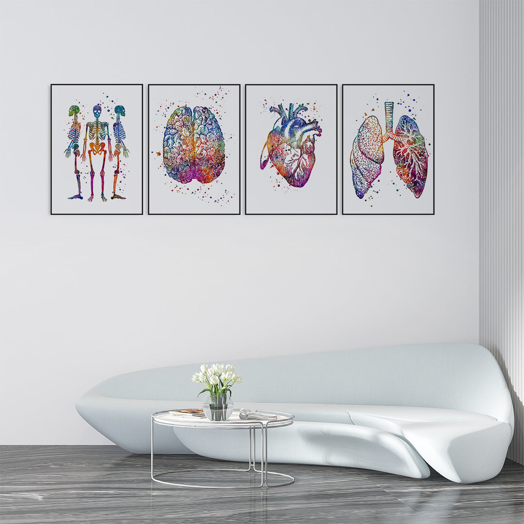 Anatomy Art Set of 4 Colorful Watercolor Prints