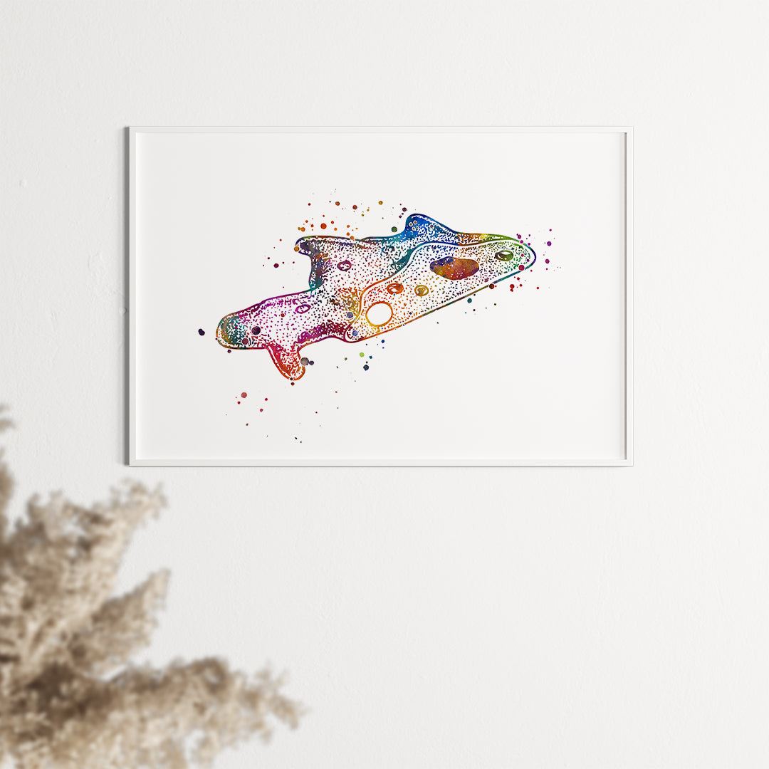 Biology Art Amoeba Watercolor Print Science Decor