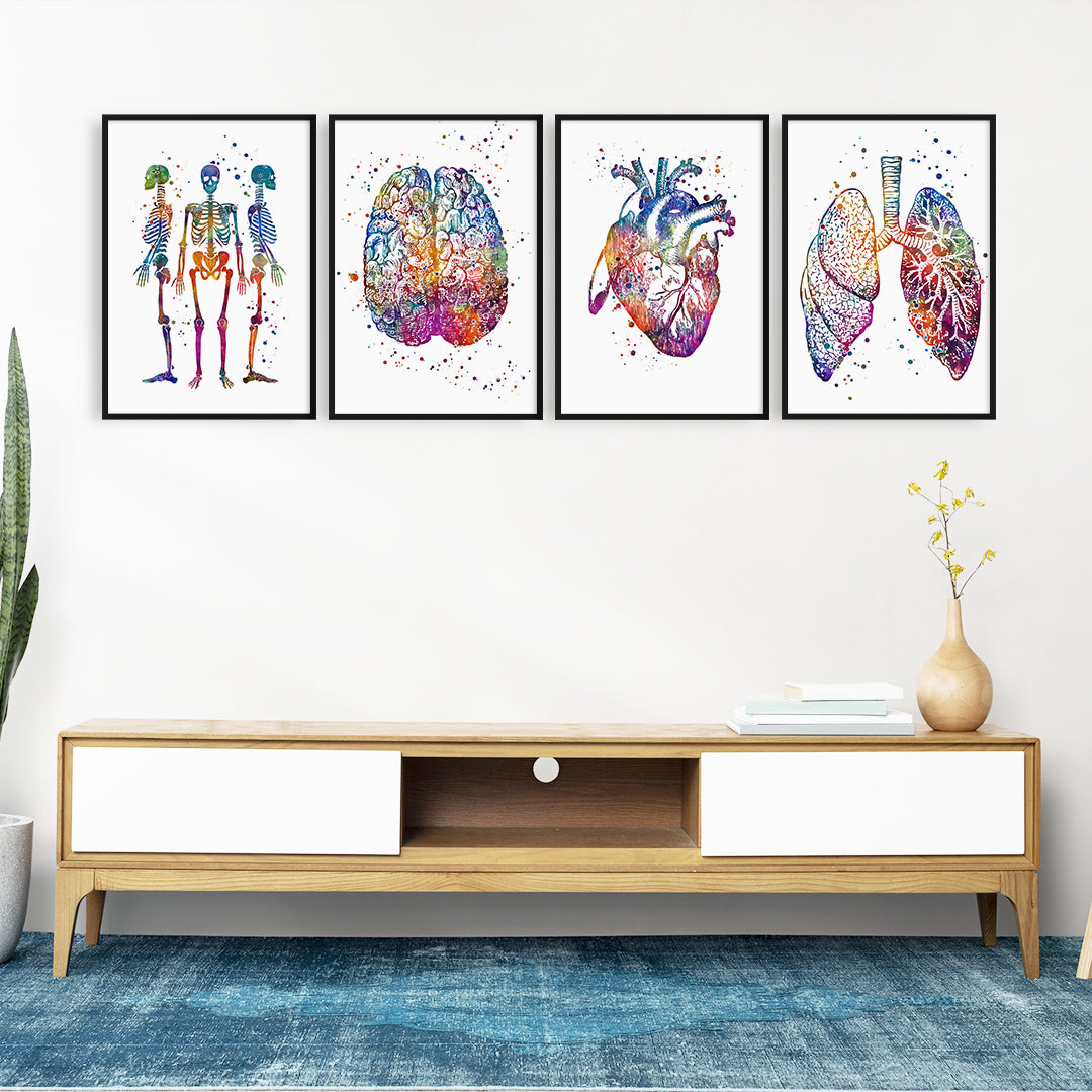 Set of 4 anatomical watercolor prints: heart, brain, lungs, skeletons, printed on textured art paper, perfect for doctors and medical students.