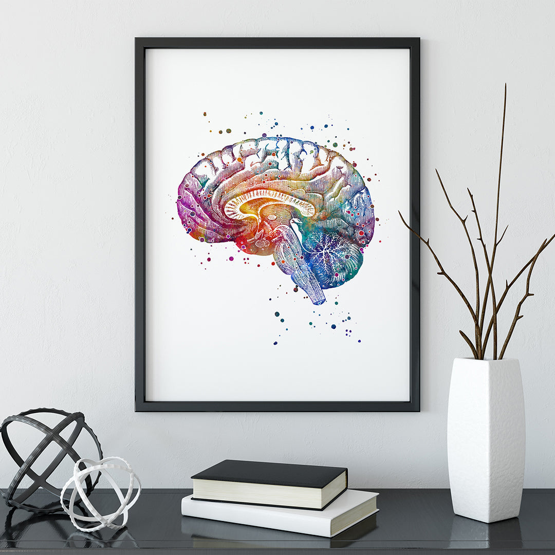 Human Brain Watercolor Print - Neurology Wall Art for Office