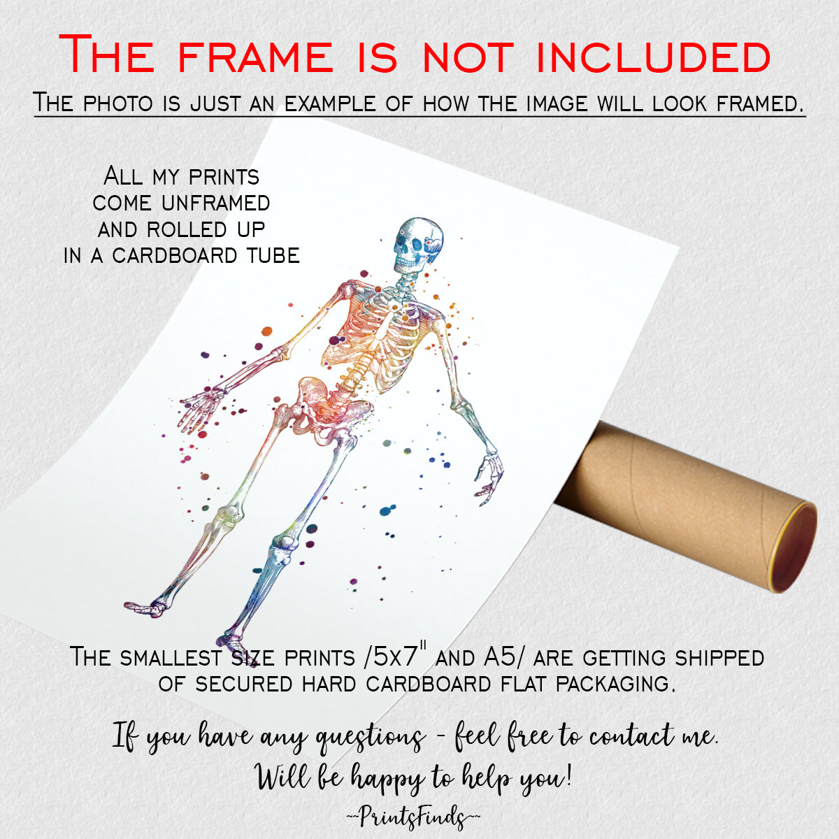 Chiropractic Wall Art – Set of 10 Anatomy Prints