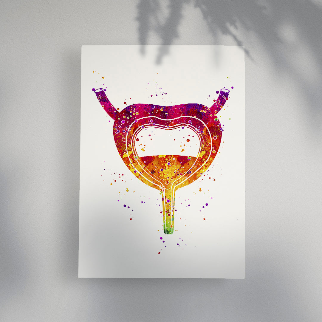 Bladder anatomy watercolor print for urology clinic walls, combining art and medical science