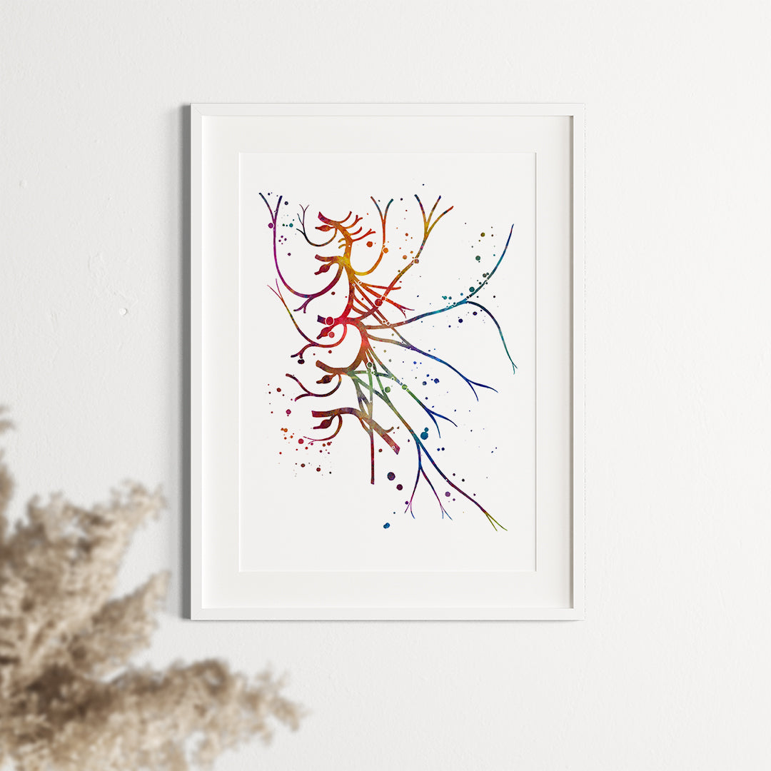 Cervical Plexus Wall Art – Colorful Anatomy Print