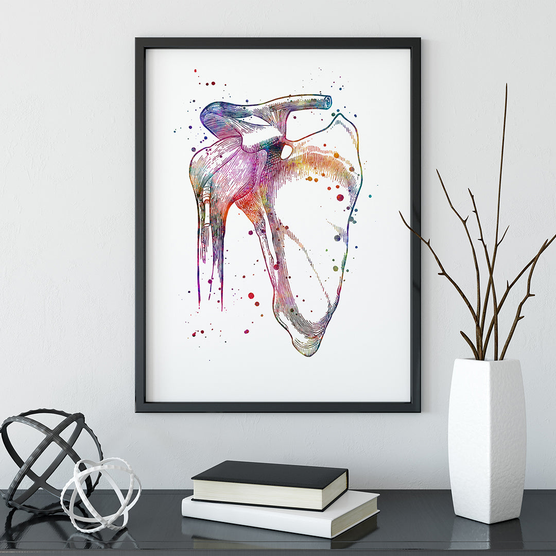 Detailed shoulder joint anatomical art print in vibrant watercolor hues