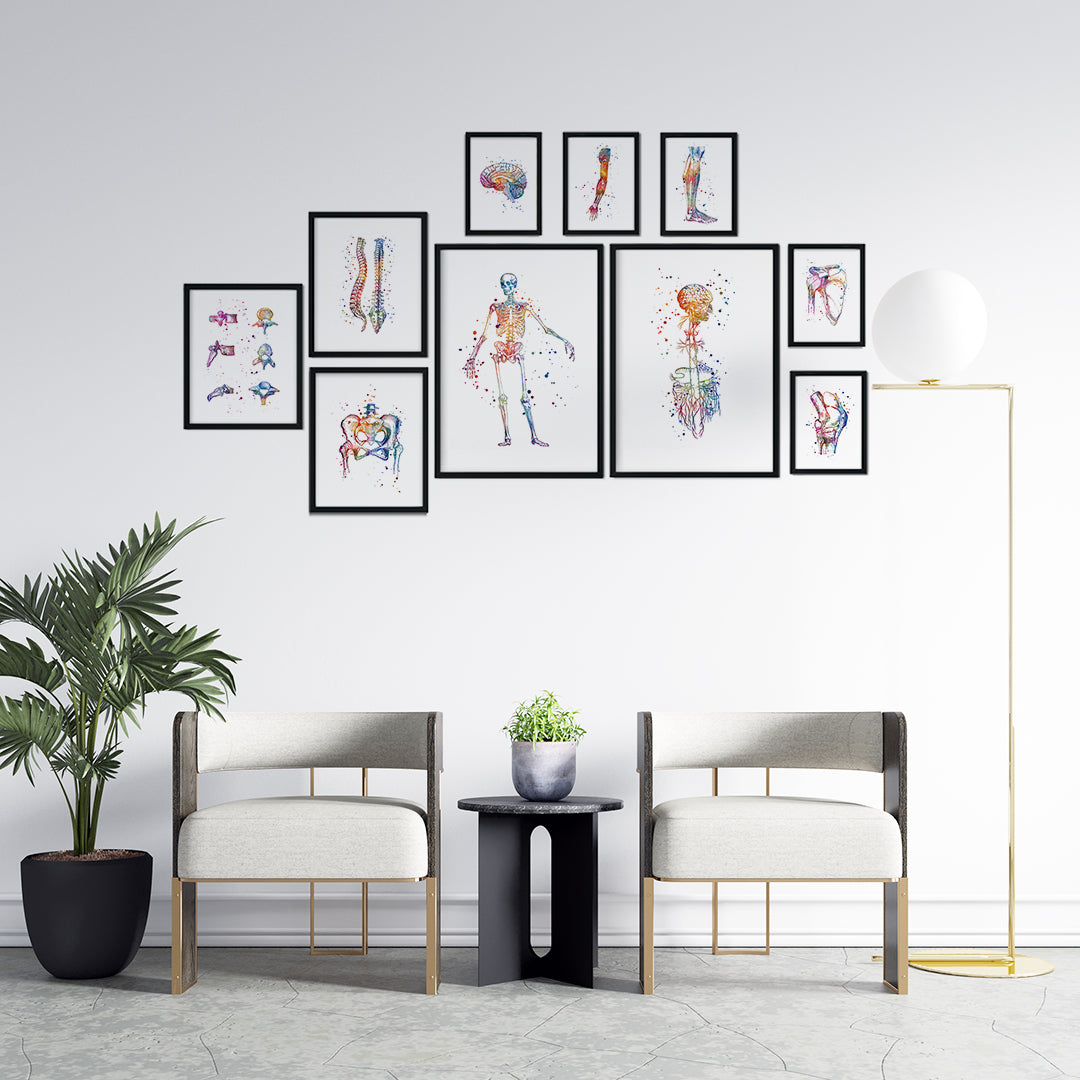 Anatomy art set with 10 prints in vibrant watercolor style, ideal for chiropractors, physiotherapists, or medical students.