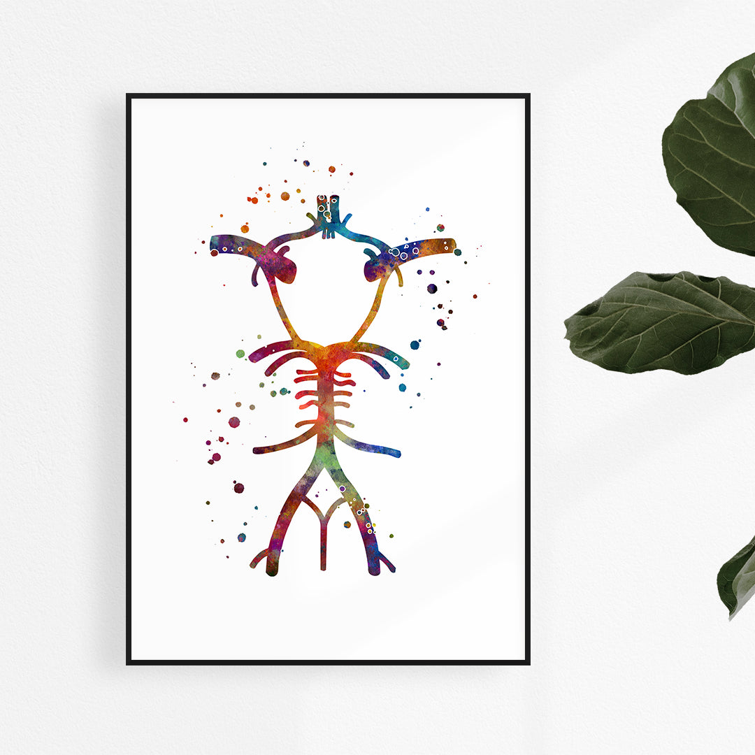 Circle of Willis Anatomy Watercolor Print, vibrant medical art for neurology clinics and brain anatomy enthusiasts.