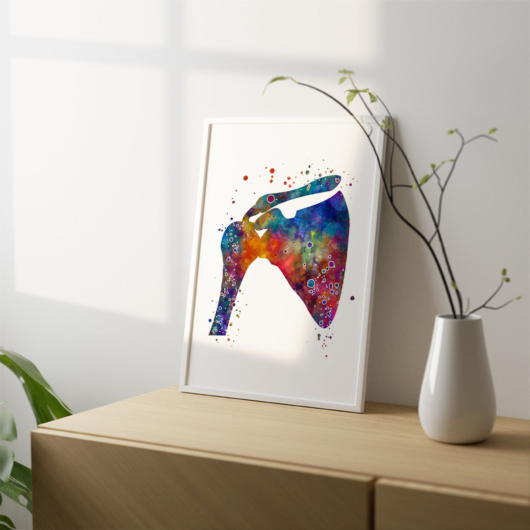 Shoulder Anatomical Watercolor Art Print