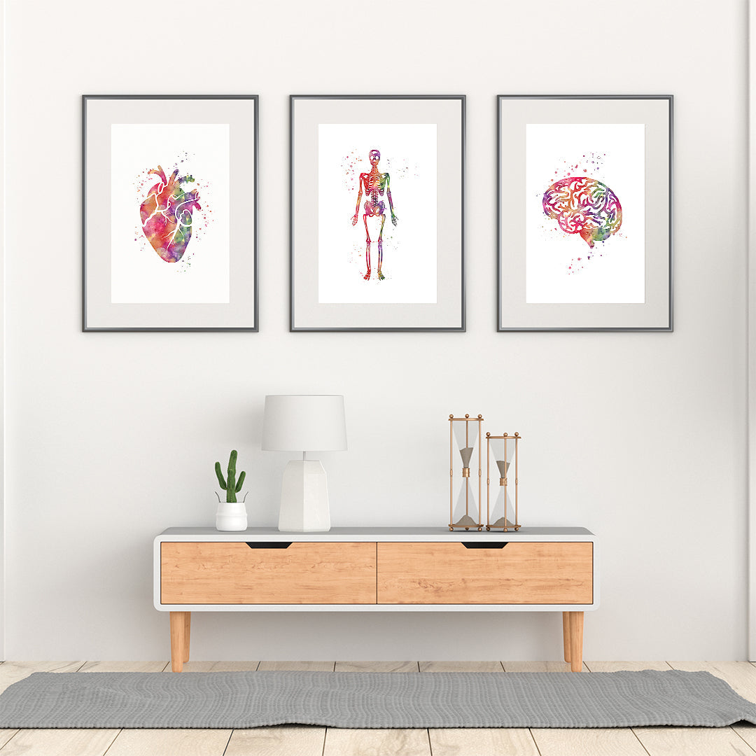 Watercolor Heart Brain and Skeleton Set of 3 prints