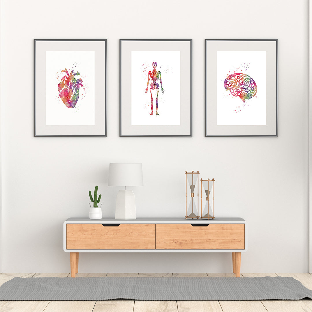 Watercolor Heart, Brain and Skeleton, Set of 3 prints for Healthcare reception decor