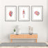 Watercolor Heart, Brain and Skeleton, Set of 3 prints for Healthcare reception decor