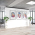 Anatomical watercolor art prints for clinic front office wall decor