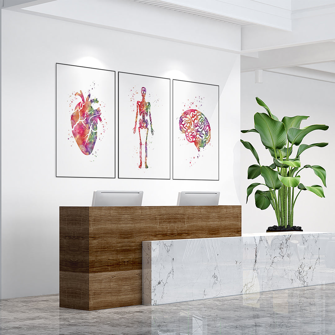 Watercolor Heart Brain and Skeleton Set of 3 prints
