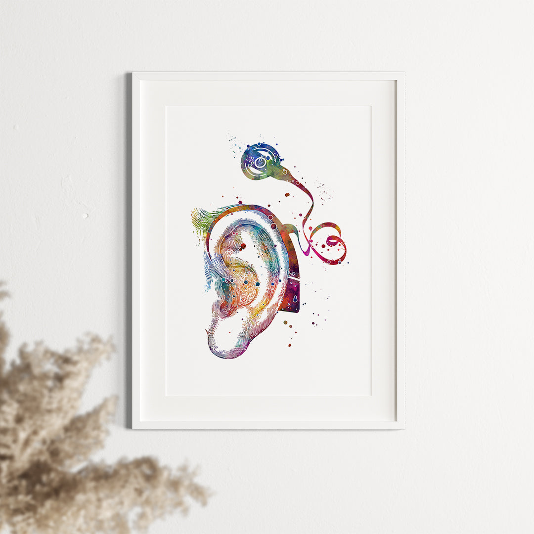 Speech therapy office decor featuring outer ear watercolor art.