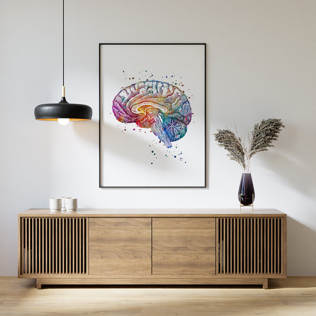 Neuroanatomy watercolor art print, perfect for neurologists and brain researchers, featuring detailed brain structure.