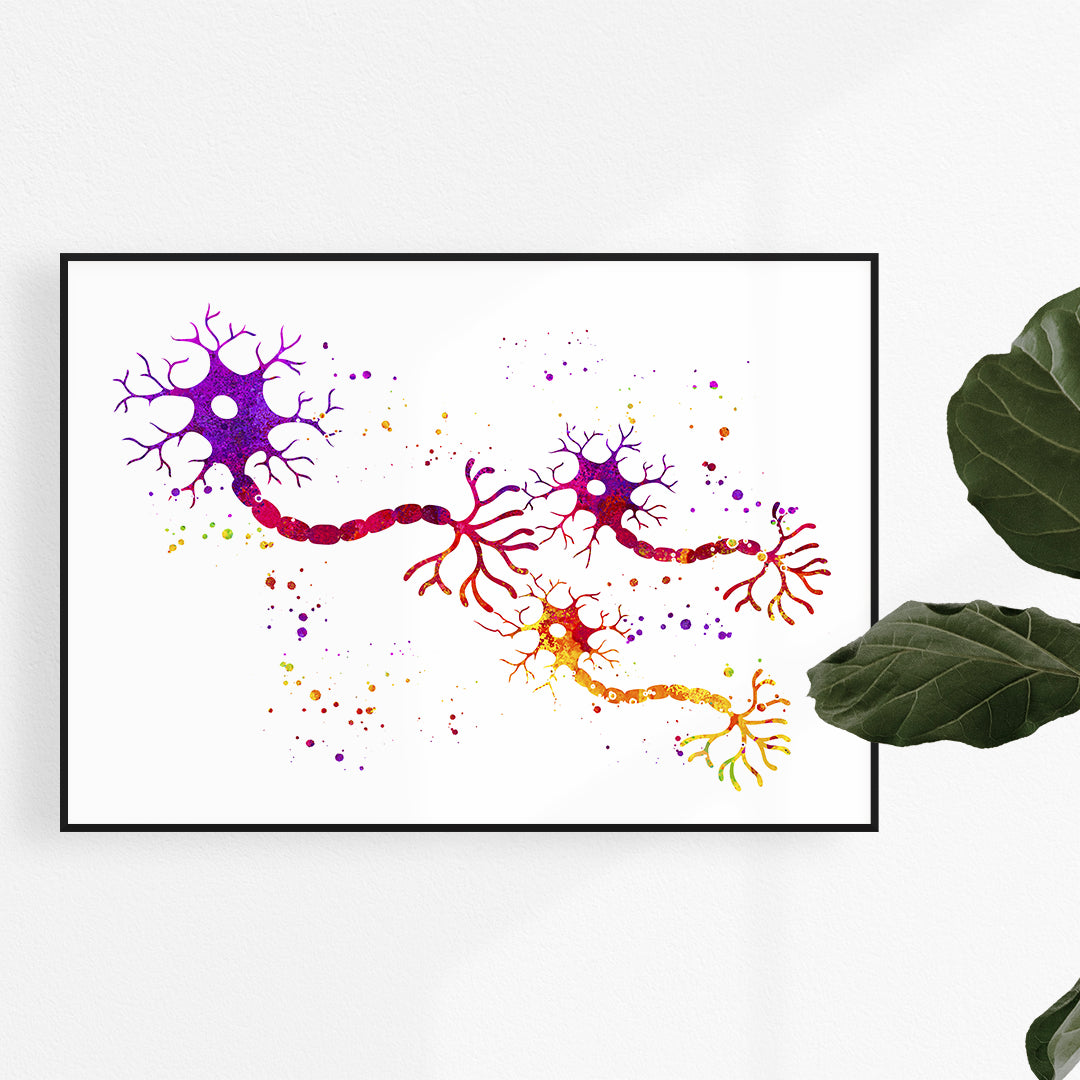 Colorful neuron connection watercolor print, showcasing the pathways of nerve impulses in a stunning neuroscience art piece for office decor.