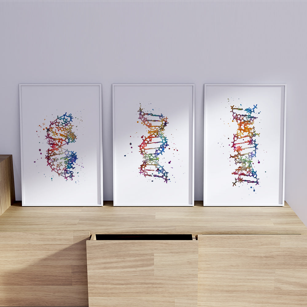 DNA Art Set of 3 Watercolor Prints - A B and Z Forms