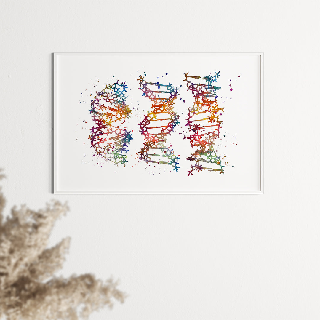 Artistic depiction of A-, B-, Z-DNA structures in watercolor, great for educational and creative spaces.