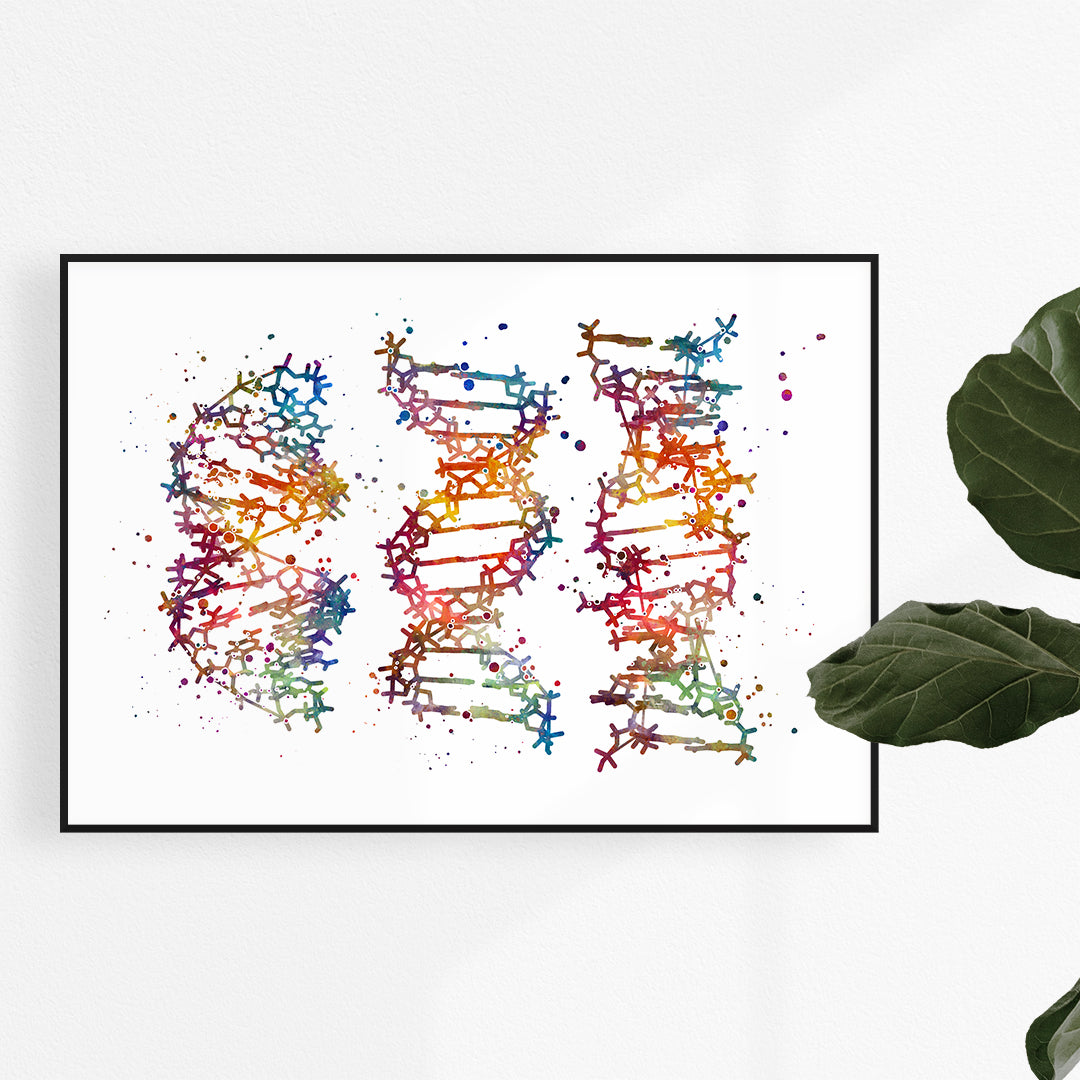 Vibrant watercolor art featuring A-, B-, Z-DNA molecules, perfect for classroom or lab decor.