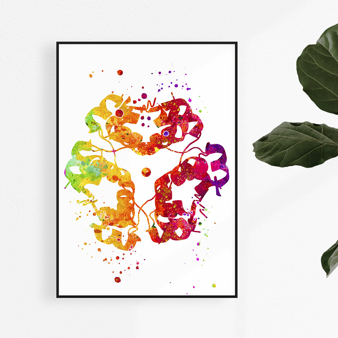 Colorful watercolor print of insulin structure, perfect for medical offices or classrooms. Ideal for endocrinologists and diabetes awareness.