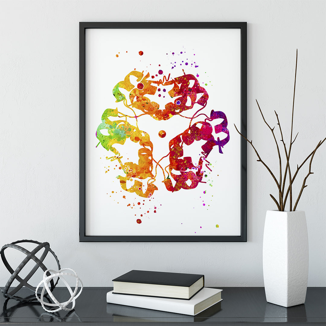 Endocrinology poster featuring insulin structure in multicolored watercolor. Perfect decor for doctors, students, or anyone in the medical field.