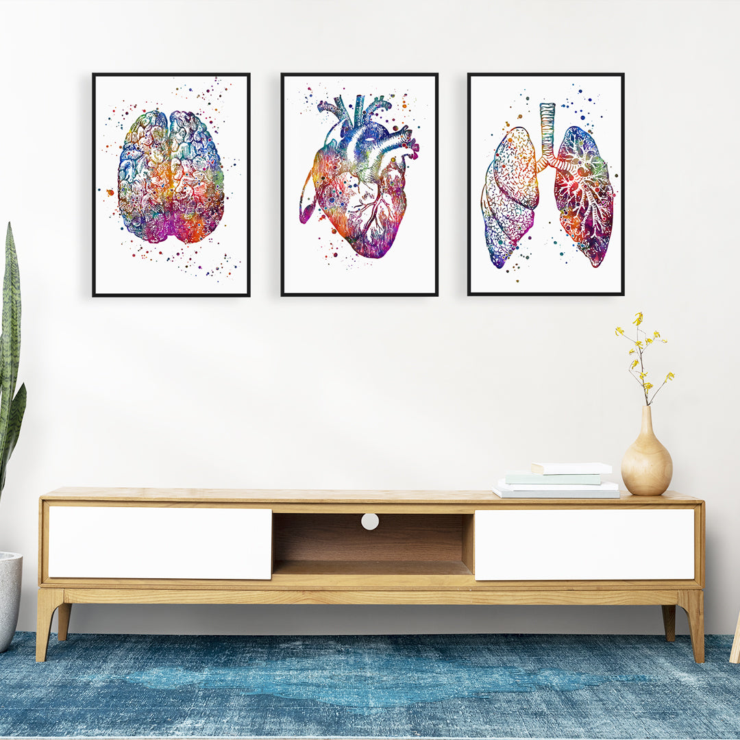 Heart Lungs and Brain - Human Anatomy Art, Set of 3 watercolor prints