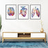 Heart Lungs and Brain - Human Anatomy Art, Set of 3 watercolor prints