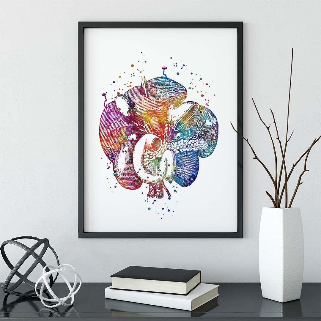 Duodenum, Human Internal Organs Watercolor Art Print