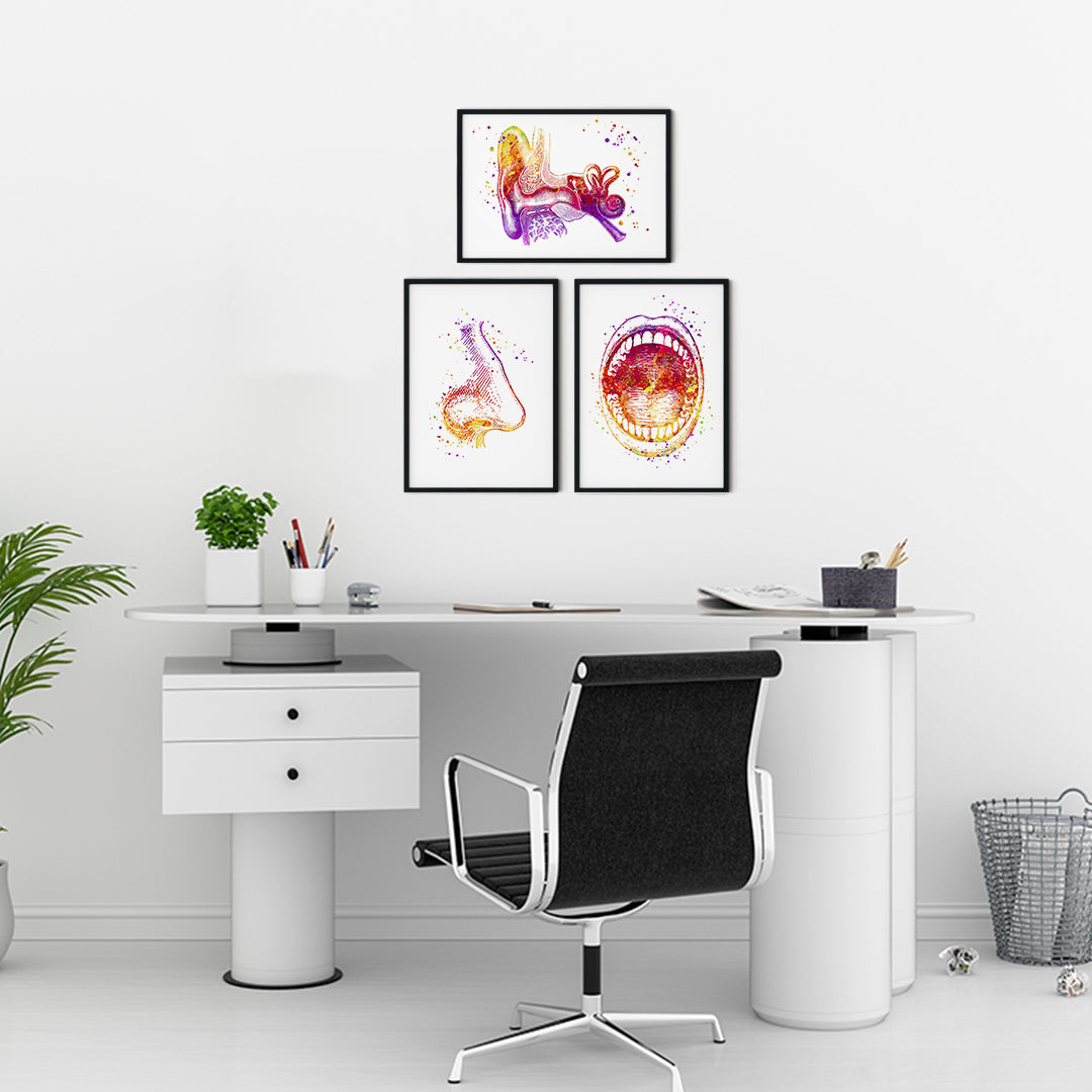 ENT anatomy watercolor print set of 3, vibrant medical art for ENT professionals, educational and decorative wall decor