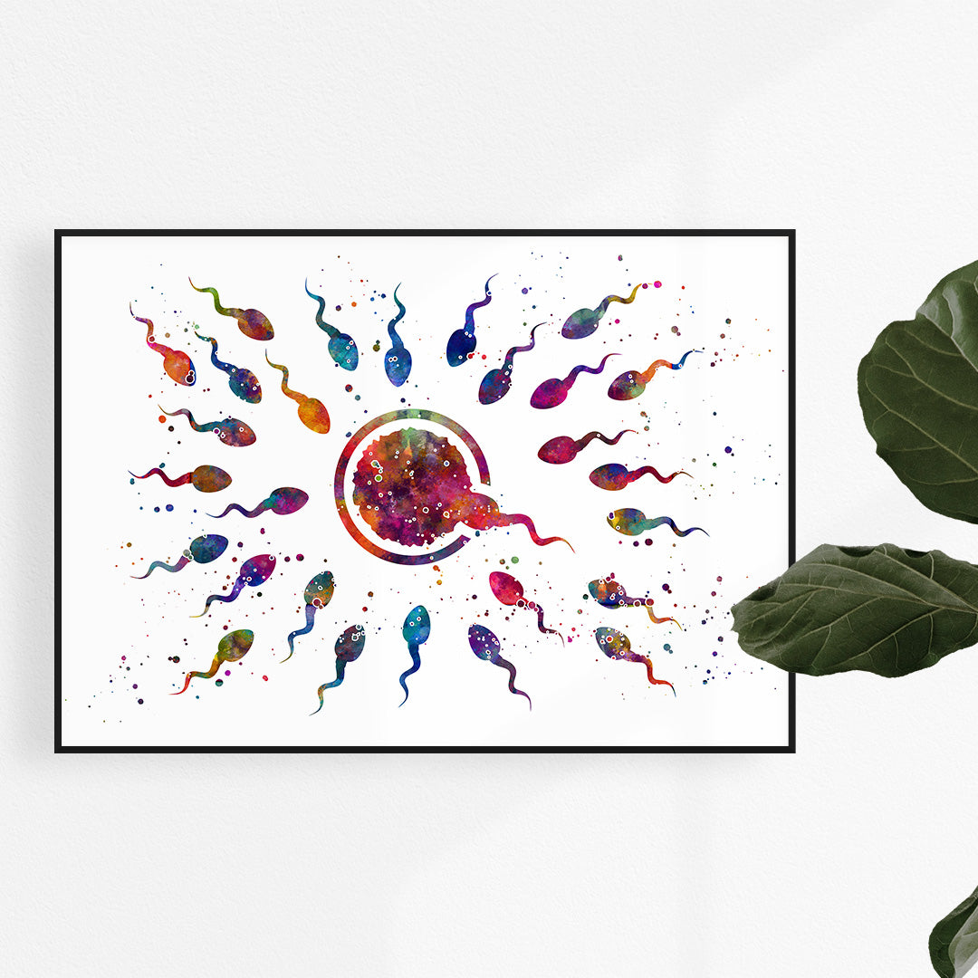 Human fertilization watercolor art print showing egg and sperm, printed on high-quality textured paper, perfect for fertility clinic decor