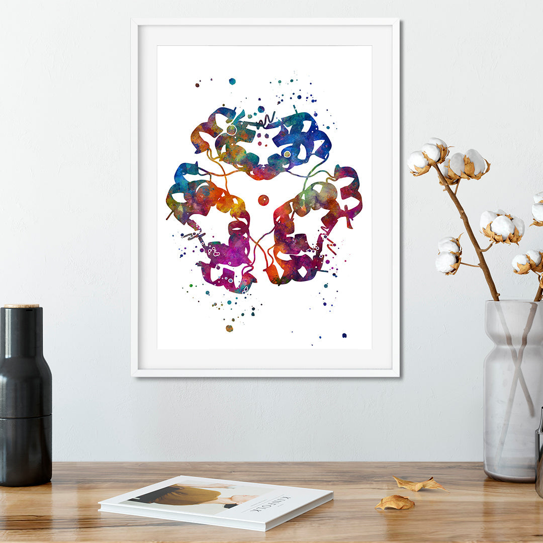 Insulin Structure Watercolor Print Еndocrinology Poster