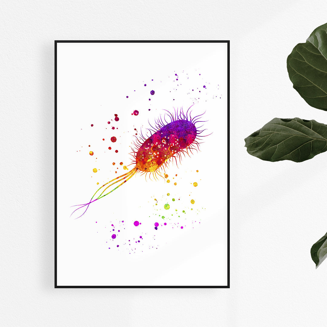 Escherichia coli Watercolor Art Print Microbiology Art