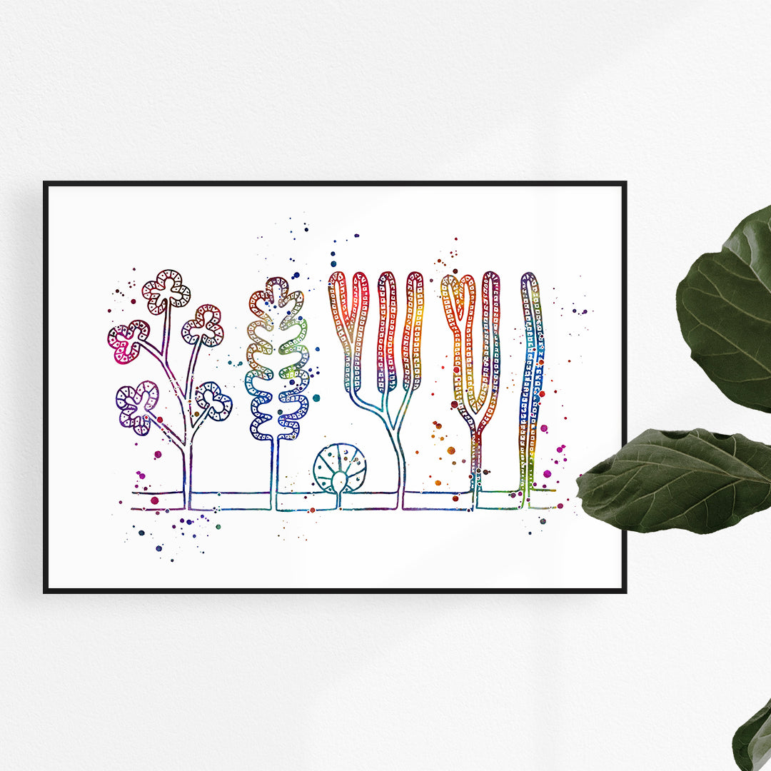 Types of Exocrine Gland Watercolor Art Print – vibrant anatomical illustration for Dermatologist office