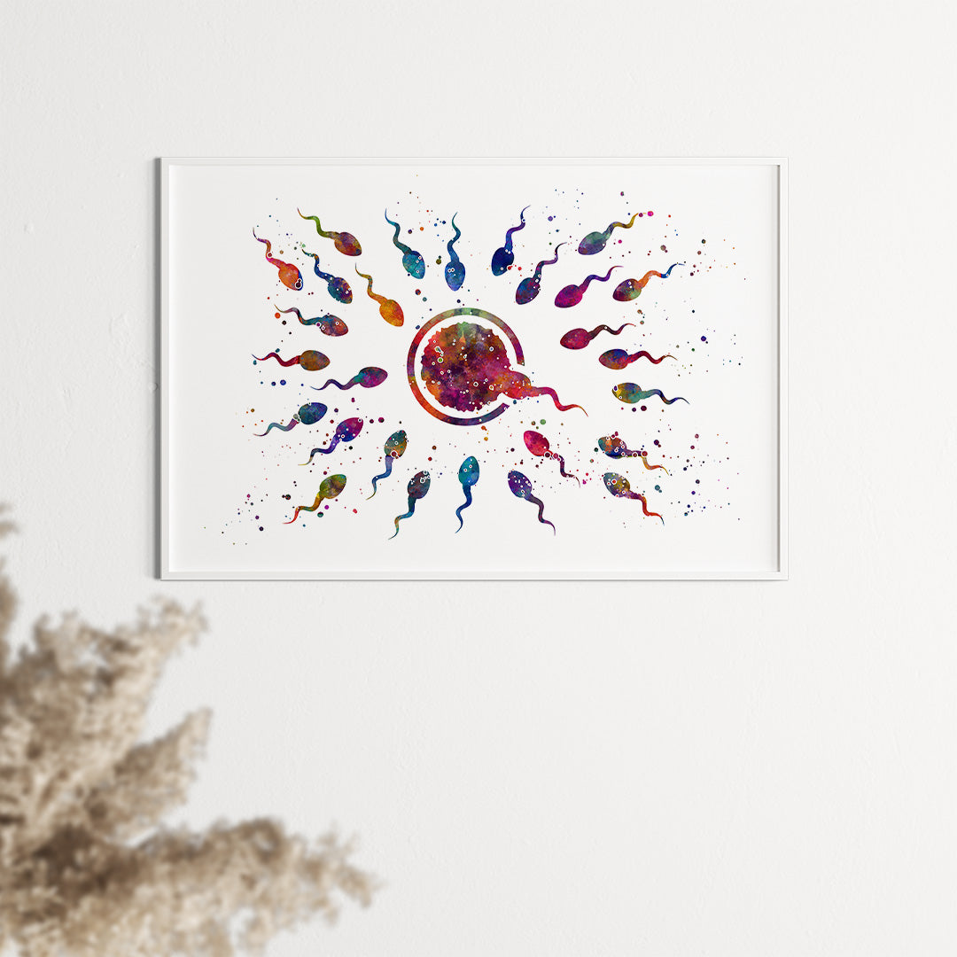 Human Fertilization Egg and Sperm Watercolor Art Print
