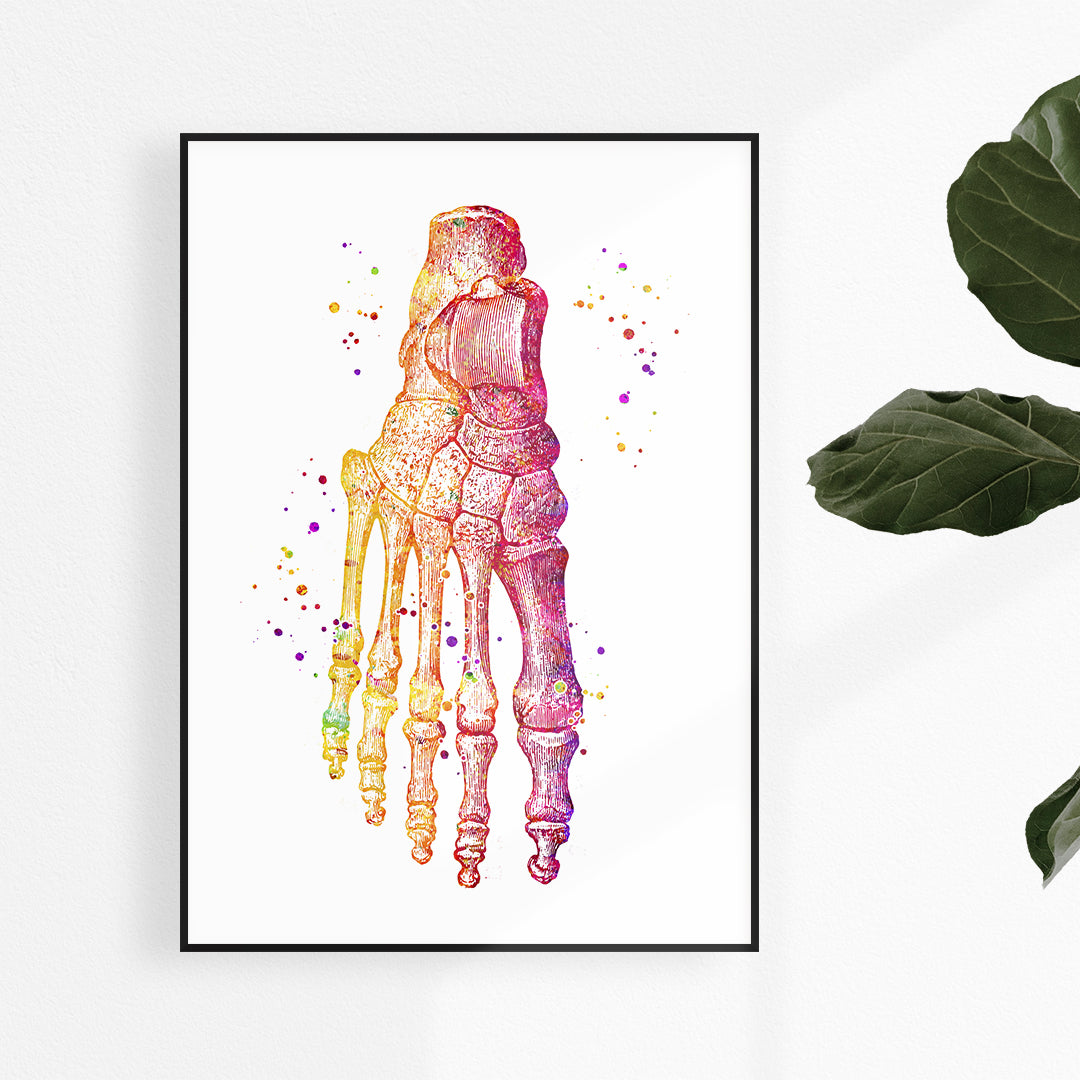 Foot Bones Anatomical Art Poster