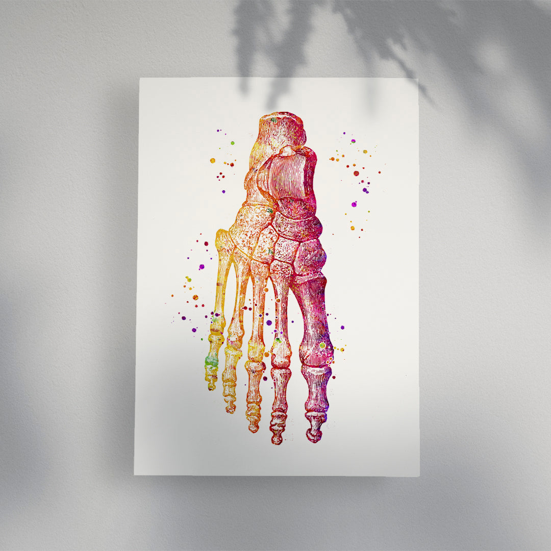 Foot bones Anatomy Art Watercolor Print