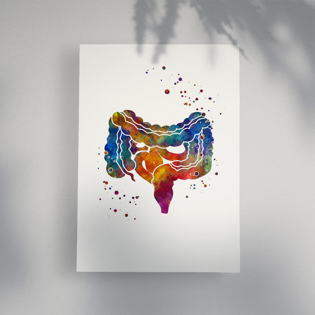 Large and Small Intestine, Gi Tract Watercolor Art Print