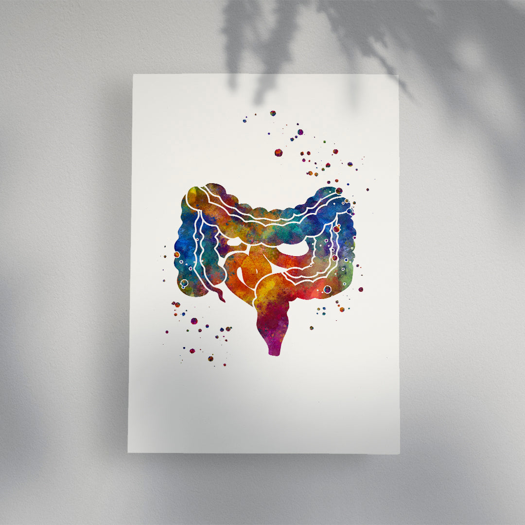 Large and Small Intestine Gi Tract Watercolor Art Print