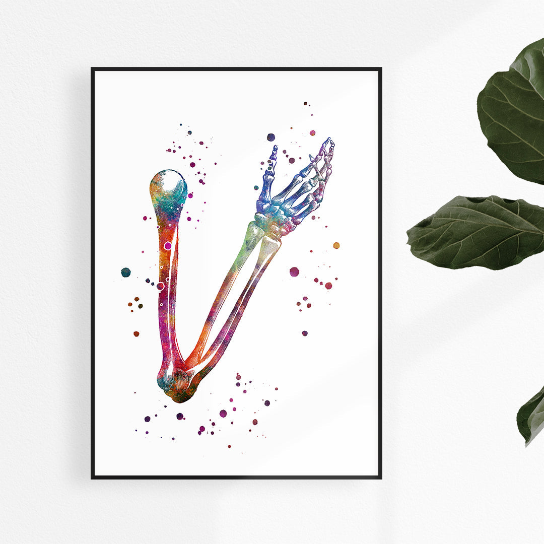 Human Hand Bones Anatomy Watercolor Art Print
