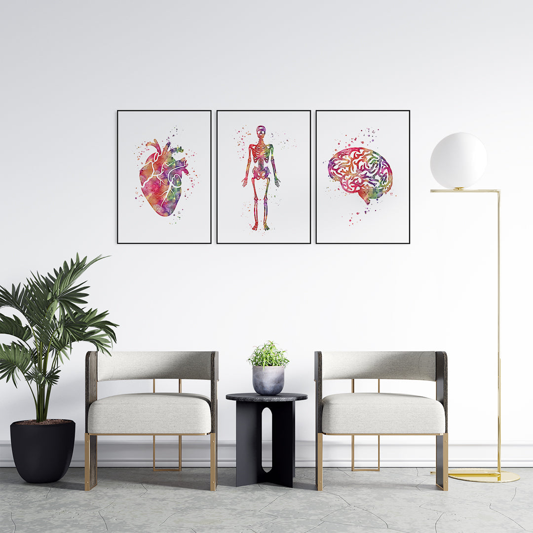 Watercolor Heart Brain and Skeleton Set of 3 prints