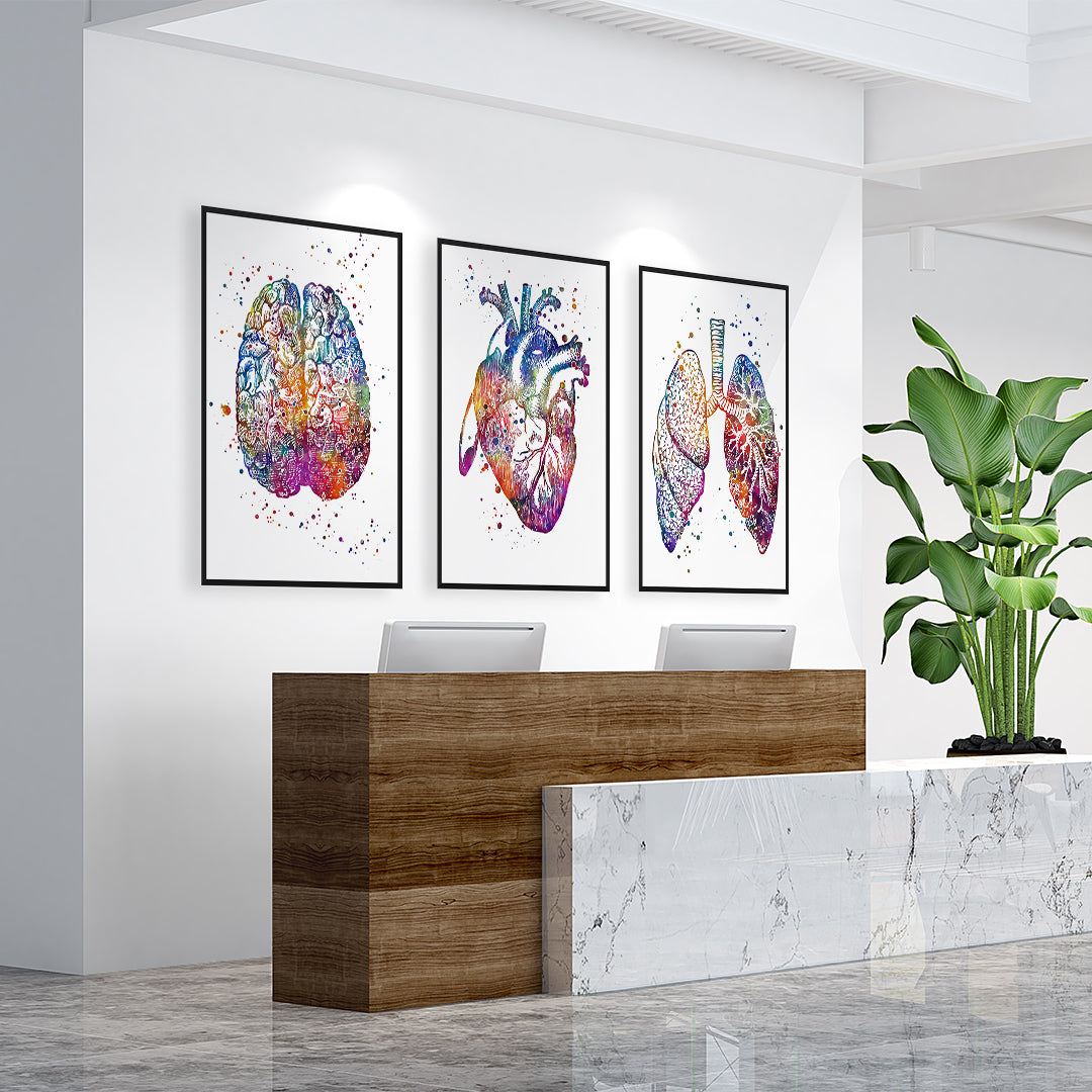 Multicolored watercolor heart, brain and lungs, anatomical prints