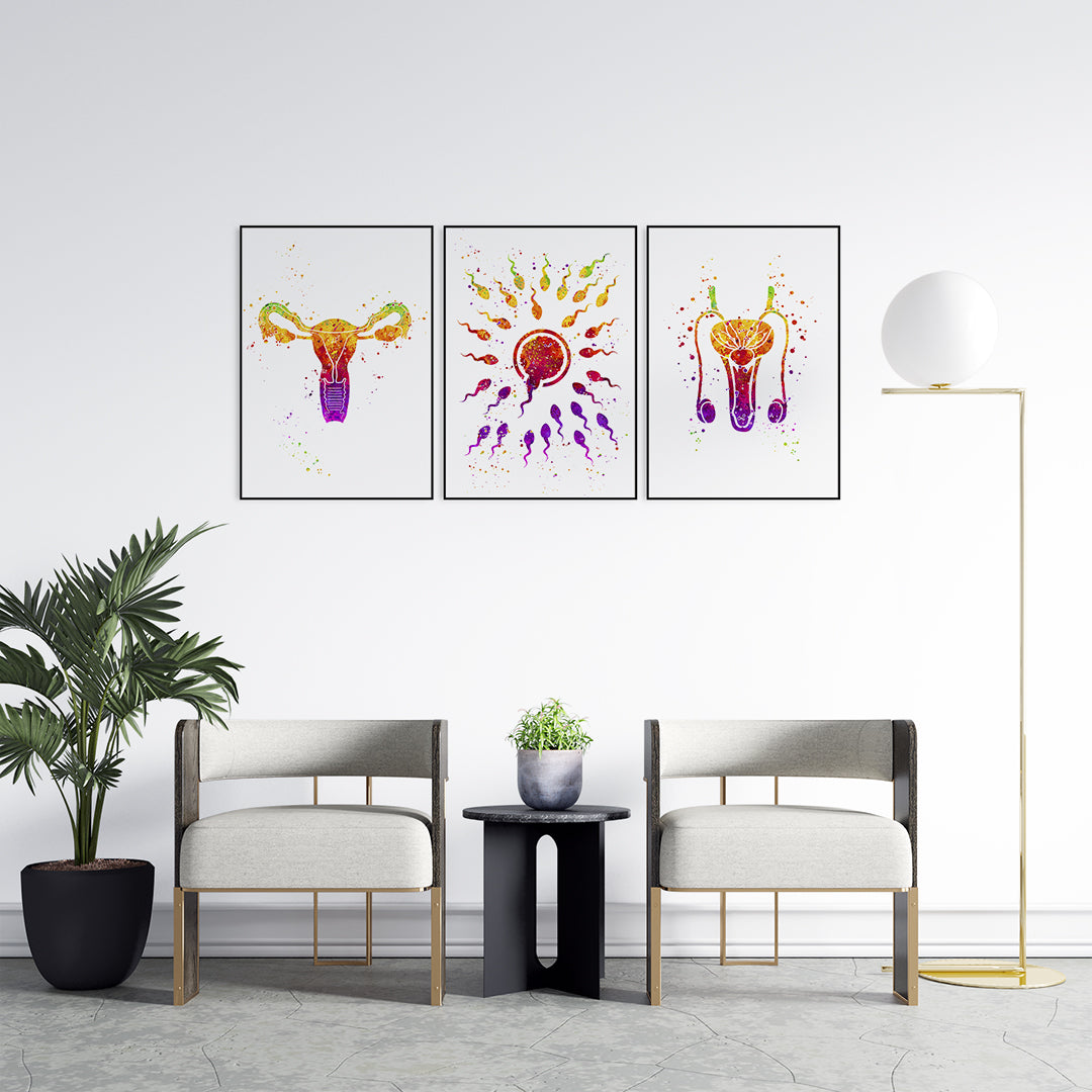 Fertilization and reproductive anatomy watercolor print, designed for modern fertility clinics and educational spaces