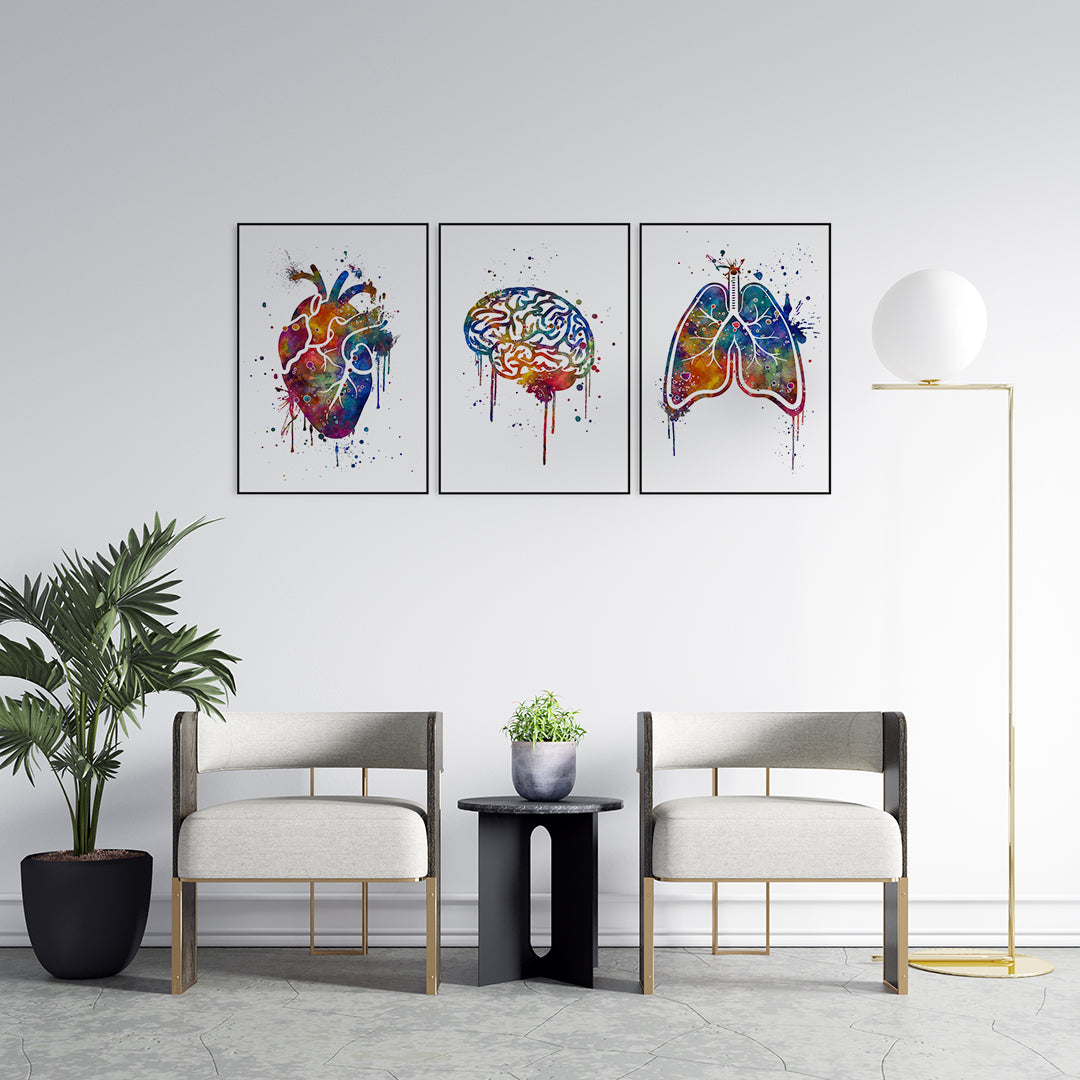 Set of 3 Art Prints Human Brain Heart and Lungs
