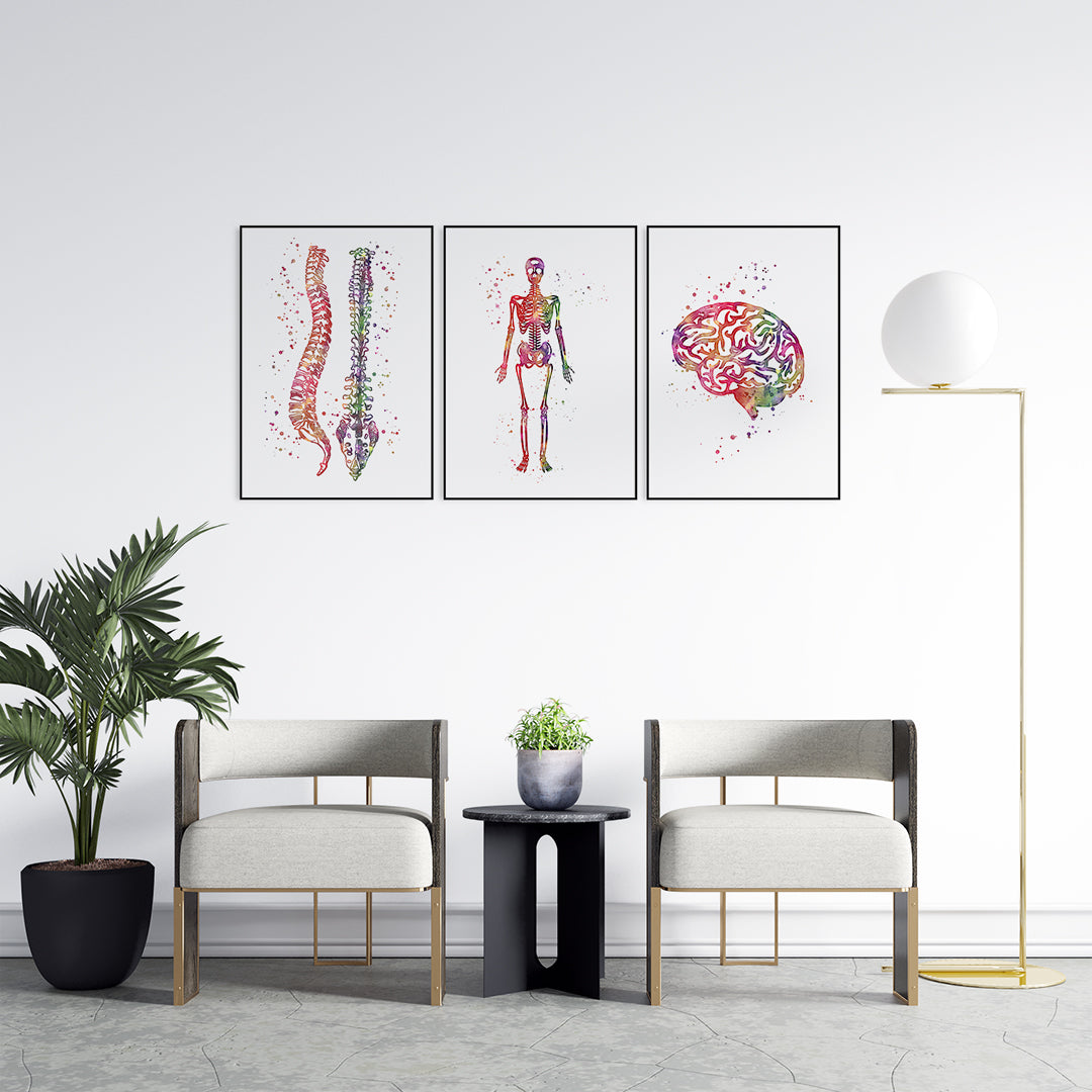 Human Anatomy Art, Set of 3 Watercolor Prints