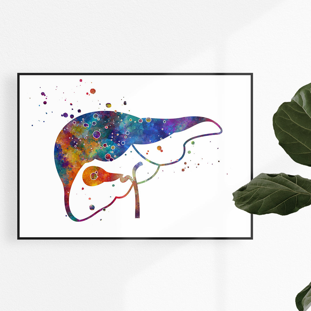 Human Liver and Gall Watercolor Anatomical Art Print