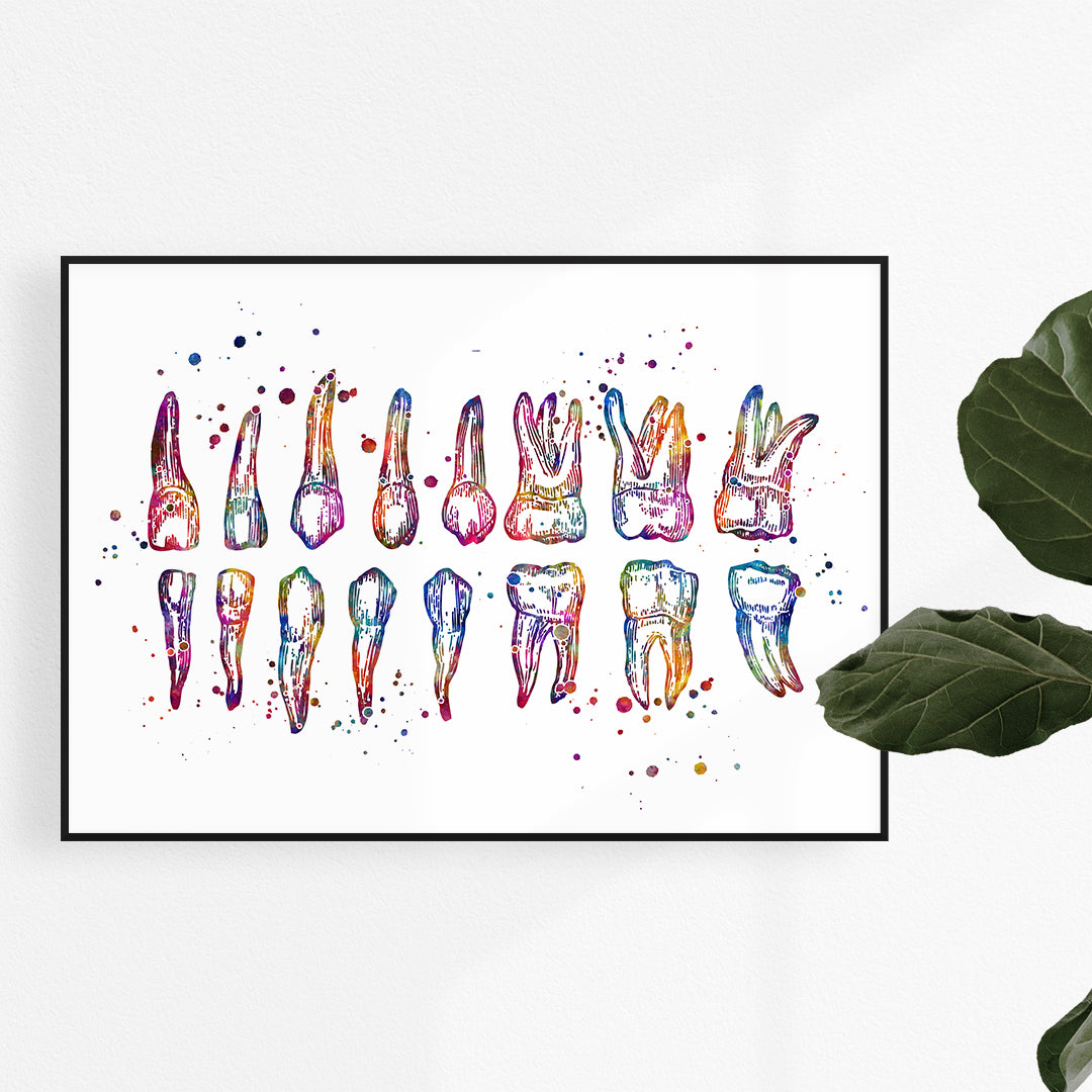 Colorful watercolor art print of human teeth chart for dental office or clinic decor