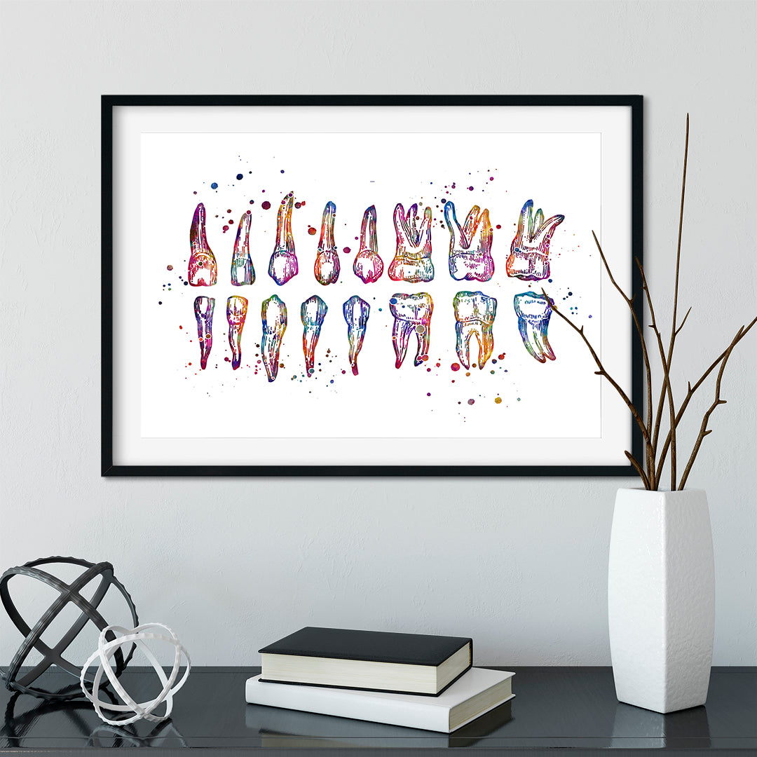 Watercolor dental anatomy chart illustrating human teeth for clinic wall art