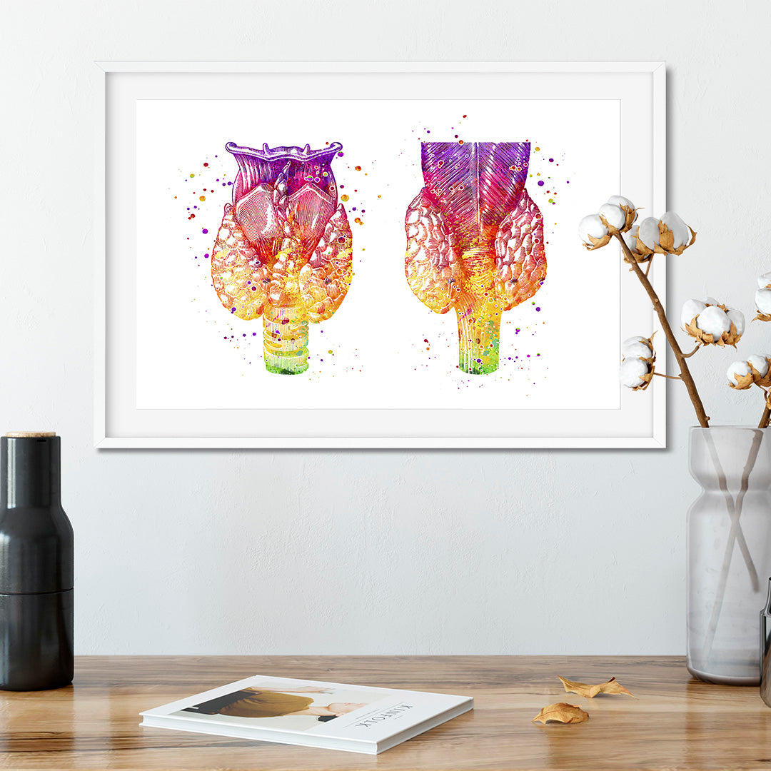 Colorful thyroid gland watercolor print, ideal for medical offices or educational spaces