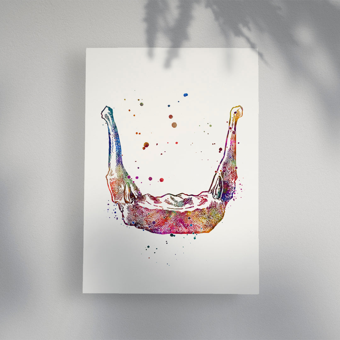 Hyoid Bone Anatomy Art Watercolor Print